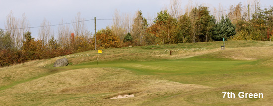 Horsehay Village 7th Green
