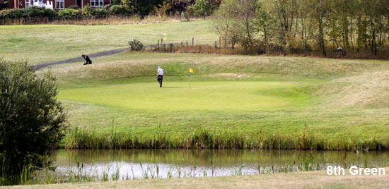 Horsehay Village 8th Green