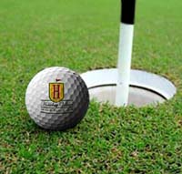 Horsehay ball by hole