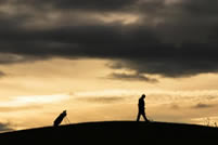 Shropshire Golf - Horsehay Village Golf Club